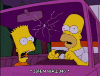 homer simpson lou GIF