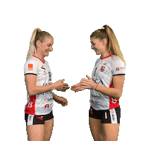 Russian Smile Sticker by cuneo_granda_volley