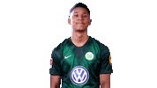 Well Done Thumbs Up Sticker by VfL Wolfsburg