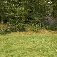DreamLandBE dreamland GIF