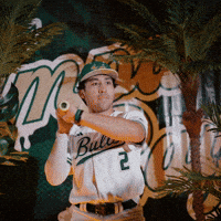 South Florida Baseball GIF by USF Athletics