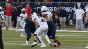 Arizona Wildcats Football GIF by Pac-12 Network