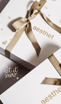 aesthet christmas aesthet GIF