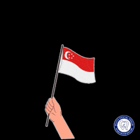 National Day Celebration GIF by Royce Dental