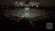 Rainbow Warriors Volleyball GIF by Hawaii Athletics