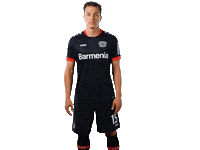 Bayer 04 Werkself Sticker by Bayer 04 Leverkusen