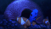 just keep swimming finding dory GIF by Disney/Pixar's Finding Dory
