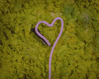 collectifpierreetmarie art neon coeur pierreetmarie GIF