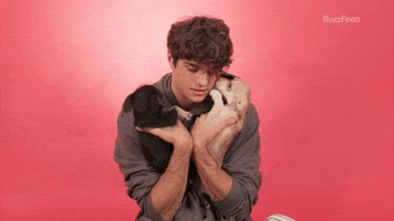 I Love You Puppies GIF by BuzzFeed