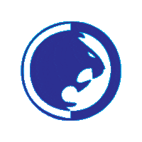 RGCville bjj jiujitsu renzogracie teamrenzogracie Sticker