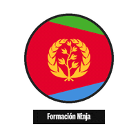 Flag Bandera Sticker by Formación Ninja