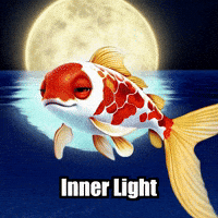 Being Inner Light GIF by TheConfishius