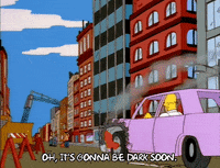 homer simpson dont care GIF