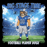 Shiba Inu Football GIF by Doge Pound