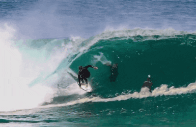 Surf Surfing GIF