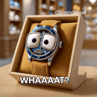 What GIF by Sendcloud