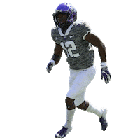 davis louisiana Sticker by TCU Football