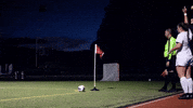 Womens Soccer GIF by Norwich University