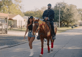 Car Racing Horse GIF by Lah Pat