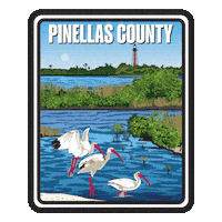 Aquatic Preserve Sticker by FLDEP
