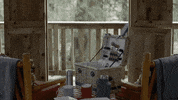 lindy booth winterfest GIF by Hallmark Channel