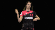 dhcplzen  GIF