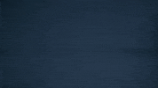 Happy GIF by Copenhagen Flames