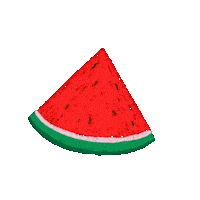 piccola_erin watermelon erincunningham studiopiccola Sticker