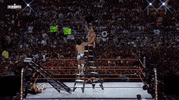 chris jericho wrestling GIF by WWE