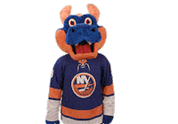 Ice Hockey Sport Sticker by NHL