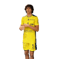 Volleyball Setter Sticker by PSG Stal Nysa