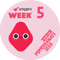 Baby Pregnancy Sticker by Preggers