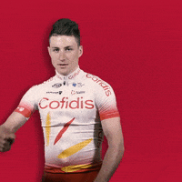 france yes GIF by Team Cofidis - #Cofidismyteam