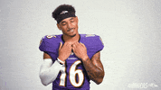 Football Smh GIF by Baltimore Ravens