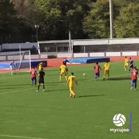 Oh My Goalkeeper GIF by ELEVEN SPORTS