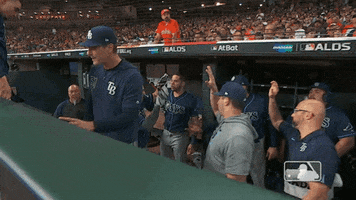 High Five Major League Baseball GIF by MLB