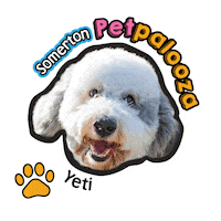 Dog Paw Sticker by City of Somerton