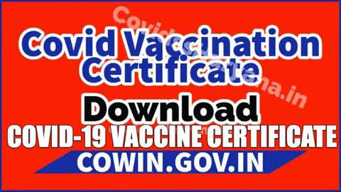 covidss giphygifmaker GIF