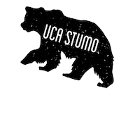 bears stumo Sticker by stumedia