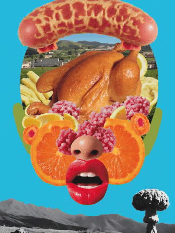 Poulet d'Γ©levage