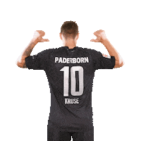 Bundesliga Name Sticker by SC Paderborn 07