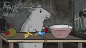 season 1 cats GIF by Animals