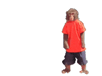 Fun Monkey Sticker