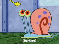 season 4 episode 13 GIF by SpongeBob SquarePants