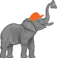 Elephant Love Sticker by words of wisDOME