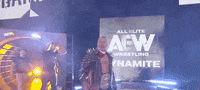 Chris Jericho Aew On Tnt GIF by All Elite Wrestling on TNT
