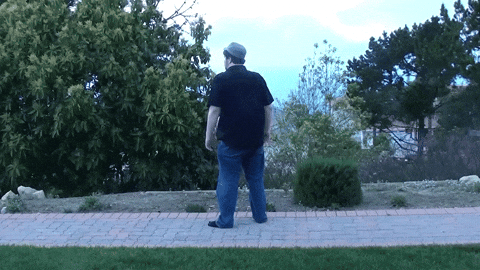 davesidious giphyupload reaction jontron home improvement GIF