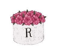 releveemx flowers flores bouquet flowerbox Sticker