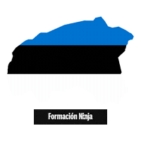 Flag Bandera Sticker by Formación Ninja