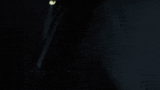 Looking Bong Joon Ho GIF by NEON